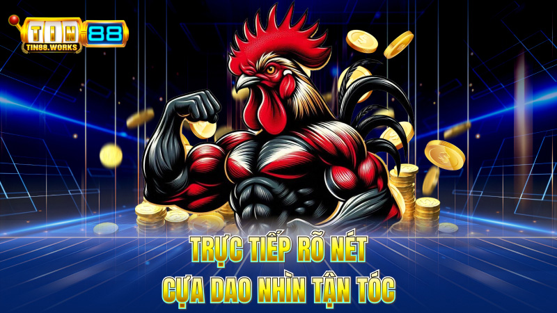 Trực tiếp rõ nét – Cựa dao nhìn tận tóc