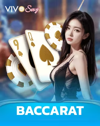 tin88 casino